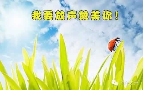 網上提款審核很久是不是被黑了要怎么解決（圖）