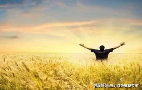 網(wǎng)站注單審核提不了款 破解方案（圖）
