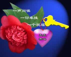 在黑網(wǎng)被黑維護出不了款 補救對策（圖）