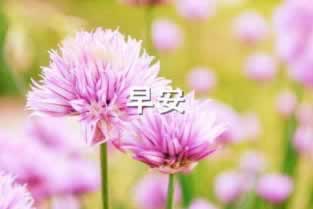 網(wǎng)絡上提取失敗提示風控審核碰到了怎么面對（圖）