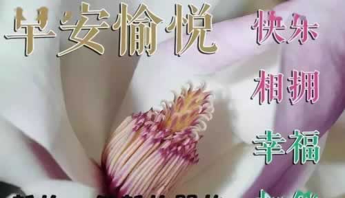 平臺贏錢被黑不給出款有什么解決辦法嗎 應對策略（圖）