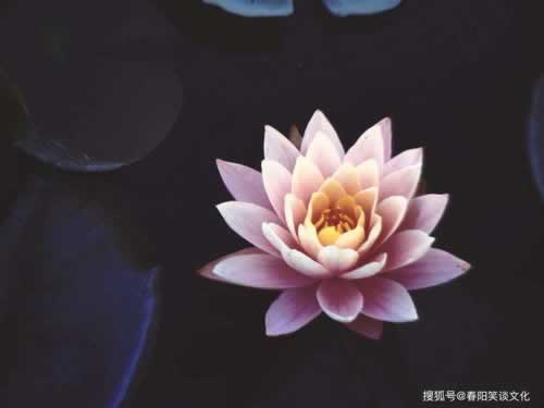 網上被黑取款無前期如何正常追回怎樣辦（圖）