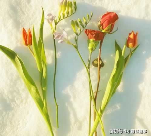 提現通道維護加黑哥出黑怎么整（圖）