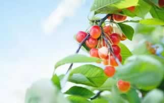專業處理提現失敗被退回如何才能解決（圖）