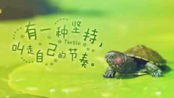 平臺取款通道系統維護審核不給出款怎么處理 應對方式（圖）