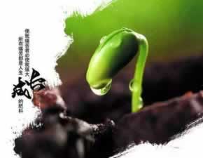 有誰可以解決系統(tǒng)審核取款失敗大家如何處理（圖）