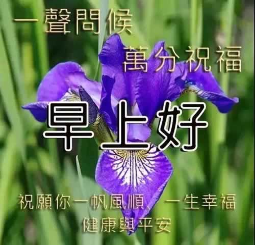 一直在審核中客服讓耐心等待通知 補(bǔ)救策略（圖）