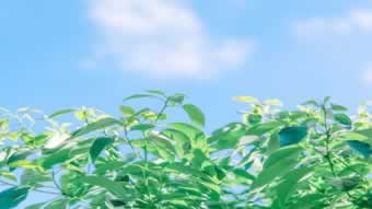 網(wǎng)上提款顯示系統(tǒng)已自動(dòng)審核中平臺(tái)各種理由不讓出款有啥辦法（圖）