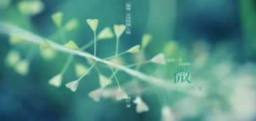 在黑平臺出端口維護有什么辦法出真的不能提款了嗎到底怎么避免(圖)