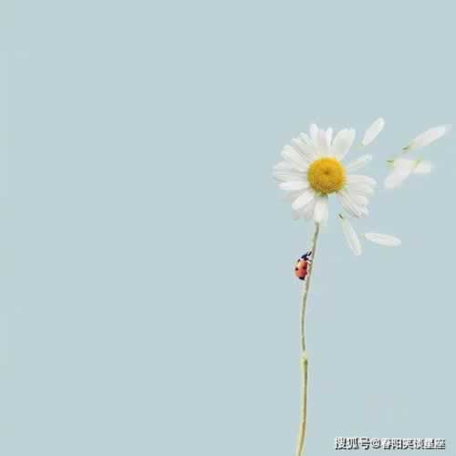 碰到黑網贏了系統不給出款的要怎么解決（圖）