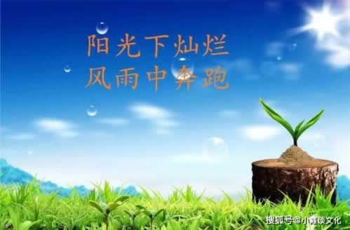 網絡平臺客服說數據異常審核失敗提不了現 處理對策(圖)