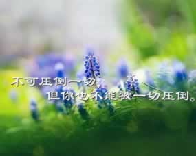 關(guān)于平臺(tái)不能提現(xiàn)也不凍結(jié)賬號(hào)什么意思啊 化解對(duì)策（圖）