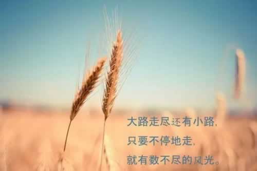 在黑網(wǎng)站抽查提不了 應(yīng)對辦法（圖）