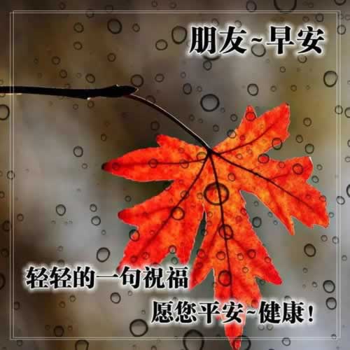 網(wǎng)絡(luò)被黑通道維護(hù)提款失敗 破解思路（圖）