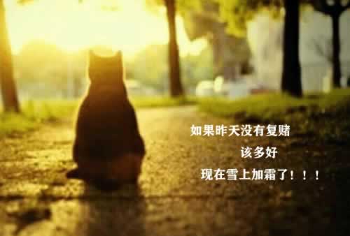 網上平臺提款一直審核不到賬教你怎么破解（圖）