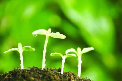 在網站提示系統審核維護不給出款 化解方式（圖）